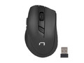 Natec Stingray Set 2in1 Optical Wireless Keyboard and Mouse US