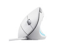 Trust Optical Wired Mouse Verto Ergo, white