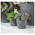 PERSILLADE Plant pot, dark grey, 12 cm
