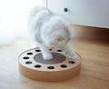 SportPet Cat Toy Chase Track & Scratcher