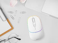 Tracer Optical Wireless Mouse Ratero RF 2.4 Ghz, white