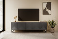 TV Cabinet Asha 200 cm, metal legs, artisan/rivier stone mat