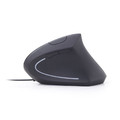 Gembird Ergonomic 6-Button Optical Wireless Mouse, black