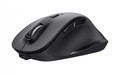 Trust Wireless Optical Mouse Fyda