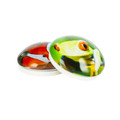 Glass Motiv Magnet 3.5cm 2pcs Fish/Frog