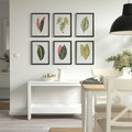 BILD Poster, collection of leaves, 30x40 cm, 6 pack