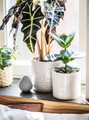 CHIAFRÖN Plant pot, in/outdoor white, 15 cm