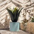 ALGERGRAN Plant pot, in/outdoor light green, 15 cm