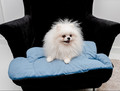 MIMIKO Pets Mat Velvet Form Cloud