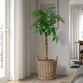 FLODBJÖRK Plant pot, in/outdoor light grey-brown, 41 cm