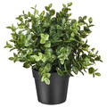 FEJKA Artificial potted plant, oregano, 9 cm