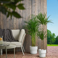 FÖRENLIG Plant pot, in/outdoor white, 19 cm