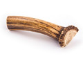 4DOGS Natural Dog Chew from Discarded Antlers, L+ Easy 1pc