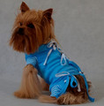 Grande Finale Postoperative Shirt for Dogs Size 5 / 51cm, blue