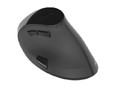 Natec Euphonie Optical Wireless Mouse, black