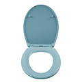 Cooke & Lewis Duroplast Soft-close Toilet Seat Diani, blue