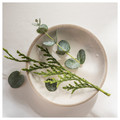 JÄMTSKOGEN Scented cndl in glass w lid/2 wicks, cypress & eucalyptus/dark green, 100 hr