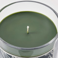 JÄMTSKOGEN Scented candle in glass, cypress & eucalyptus/dark green, 45 hr