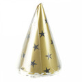 Paper Party Hat 3pcs