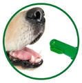 Vet's Best Dental Puppy Dental Kit