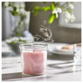 LUGNARE Scented candle in glass, Jasmine/pink, 40 hr
