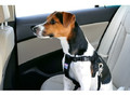 Zolux Car Safety Harness for Medium-sized Dogs