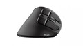 Trust Optical Wireless Mouse Ergo VOXX, black