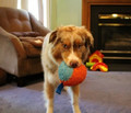 Chuckit! Indoor Ball Dog Toy