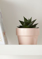 Plant Pot GoodHome 9 cm, pink