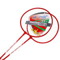 Badminton Set 14+