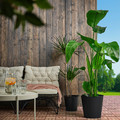 CITRONMELISS Plant pot, in/outdoor/anthracite, 32 cm