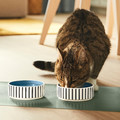 UTSÅDD Pet bowl, stripe pattern black-blue/grey-blue, 11 cm