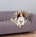 Trixie Dog Blanket 100x70cm, beige, patterned