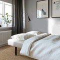 RÄFSTA 3-seat sofa-bed, dark grey