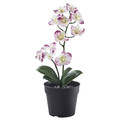 FEJKA Artificial potted plant, in/outdoor Orchid/light purple, 9 cm