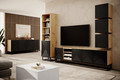 TV Cabinet Asha 200 cm, metal legs, artisan/matt black