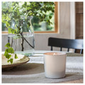 ADLAD Scented candle in ceramic jar, Scandinavian Woods/white, 50 hr