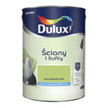 Dulux Walls & Ceilings Matt Latex Paint 5l passion for kiwi