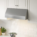 UPPFRISKANDE Wall mounted extractor hood, stainless steel colour, 80 cm