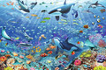 Ravensburger Jigsaw Puzzle Underwater World 3000pcs 14+