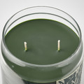 JÄMTSKOGEN Scented cndl in glass w lid/2 wicks, cypress & eucalyptus/dark green, 70 hr