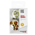 Glass Motiv Magnet 3.5cm 2pcs Cat/Dog