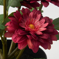 FEJKA Artificial potted plant, in/outdoor Chrysanthemums, 12 cm