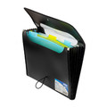 Document Folder with 6 Pockets A4 25mm, black