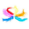 Decorative Feathers 4g