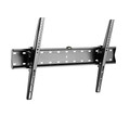 Gembird TV Wall Mount, tilt, 37-70" 40kg