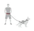 Dingo Belt for Running with Dog, 4 variants