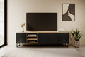 TV Cabinet Asha 200 cm, metal legs, artisan/matt black