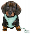 Trixie Dog Harness Puppy Junior 26-34cm, mint