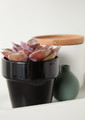 Plant Pot GoodHome 9 cm, black